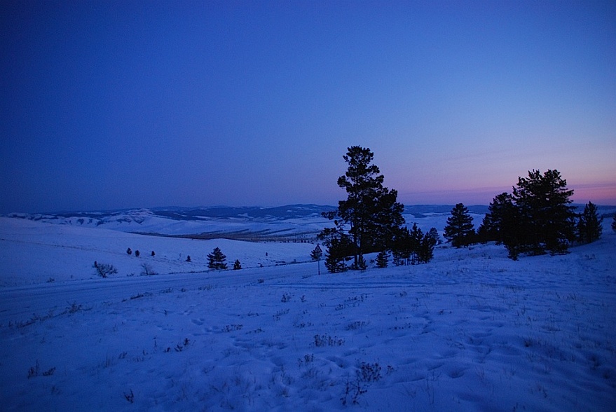DSC_8180.JPG - Auf dem Weg zur Mongolei - der Wald wird lichter.