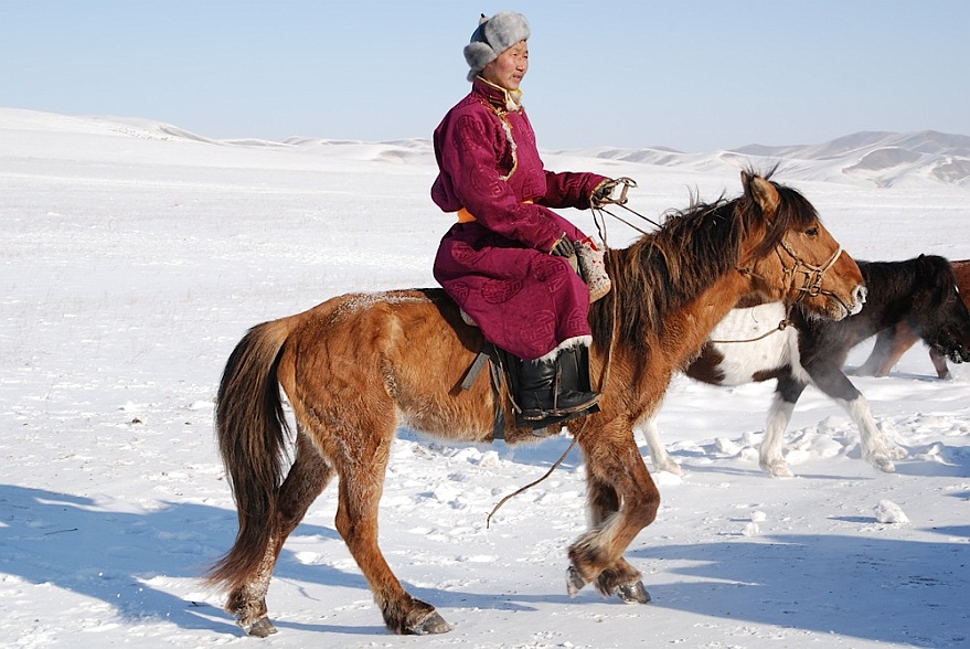 DSC_8323.JPG - ... mongolischer Cowboy.