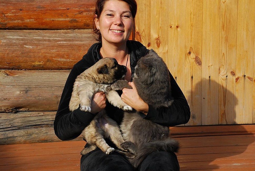 DSC_4426.JPG - Wir haben kleinen Besuch. Der Nachbarhund kommt mal rber und besucht Barsik.