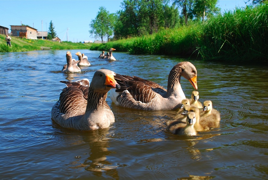 DSC_6199.JPG - Unsere Grossfamilie.