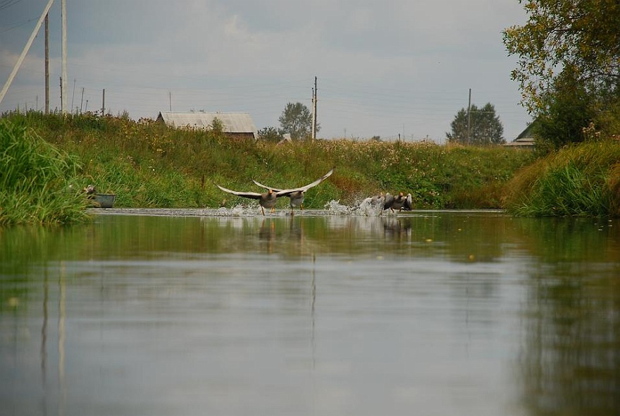 DSC_3602.JPG - ...Phase 2...