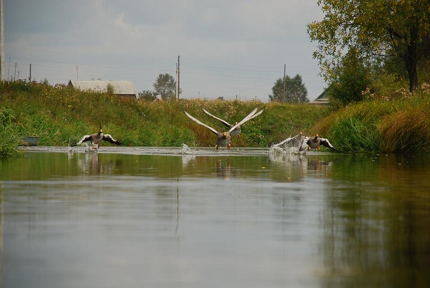 DSC_3603.JPG - ...Phase 3...