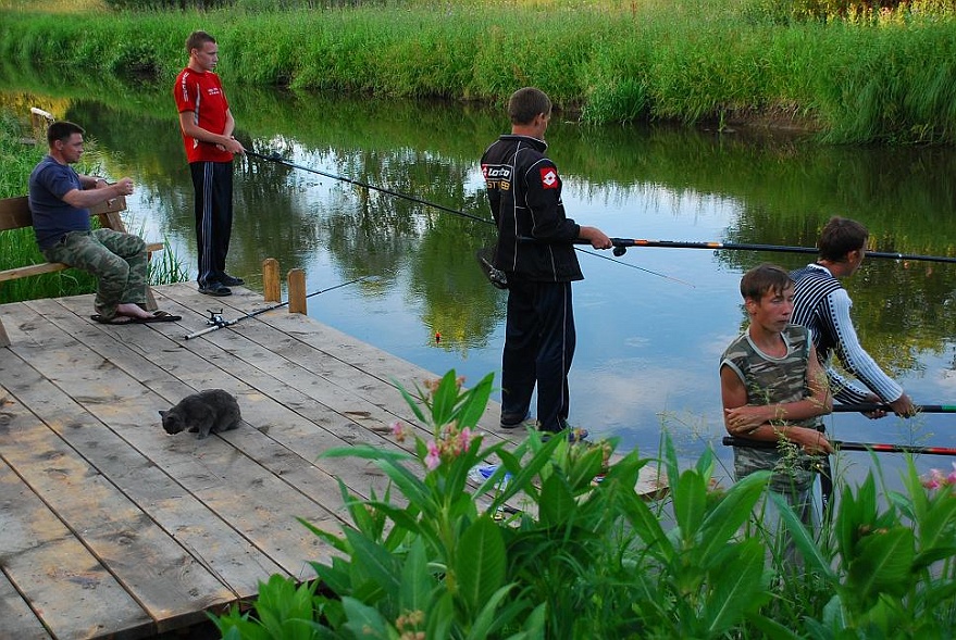 DSC_1320.JPG - Wettangeln mit Nachbarkindern und Mischa am Steg. Barsik ist Preisrichter und probiert die gefangenen Fische.