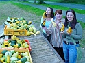 DSC04975-Kopie